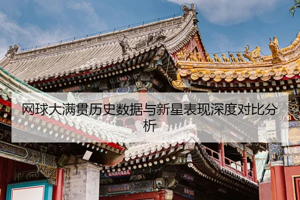 wang-qiu-da-man-guan-li-shi-shu-ju-yu-xin-xing-biao-xian-shen-du-dui-bi-fen-xi-2-339.jpg